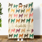 Blanket