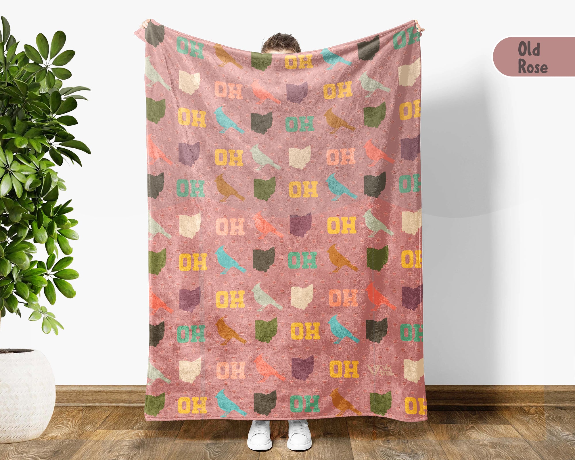 Retro Ohio Blanket, 4th of July Patriotic Throw, Vintage Ohio Lover Fleece, American Flag Inspired Cozy Ohio Home Decor Gift