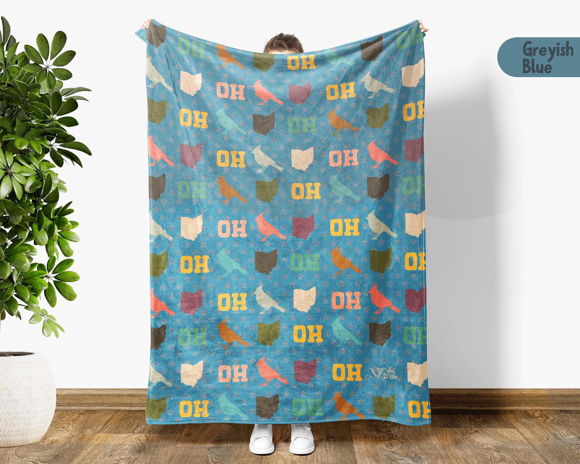 Retro Ohio Blanket, 4th of July Patriotic Throw, Vintage Ohio Lover Fleece, American Flag Inspired Cozy Ohio Home Decor Gift