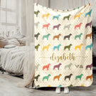 Blanket