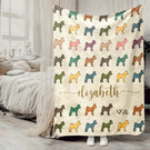 Blanket