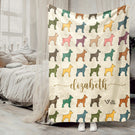Blanket