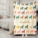 Blanket