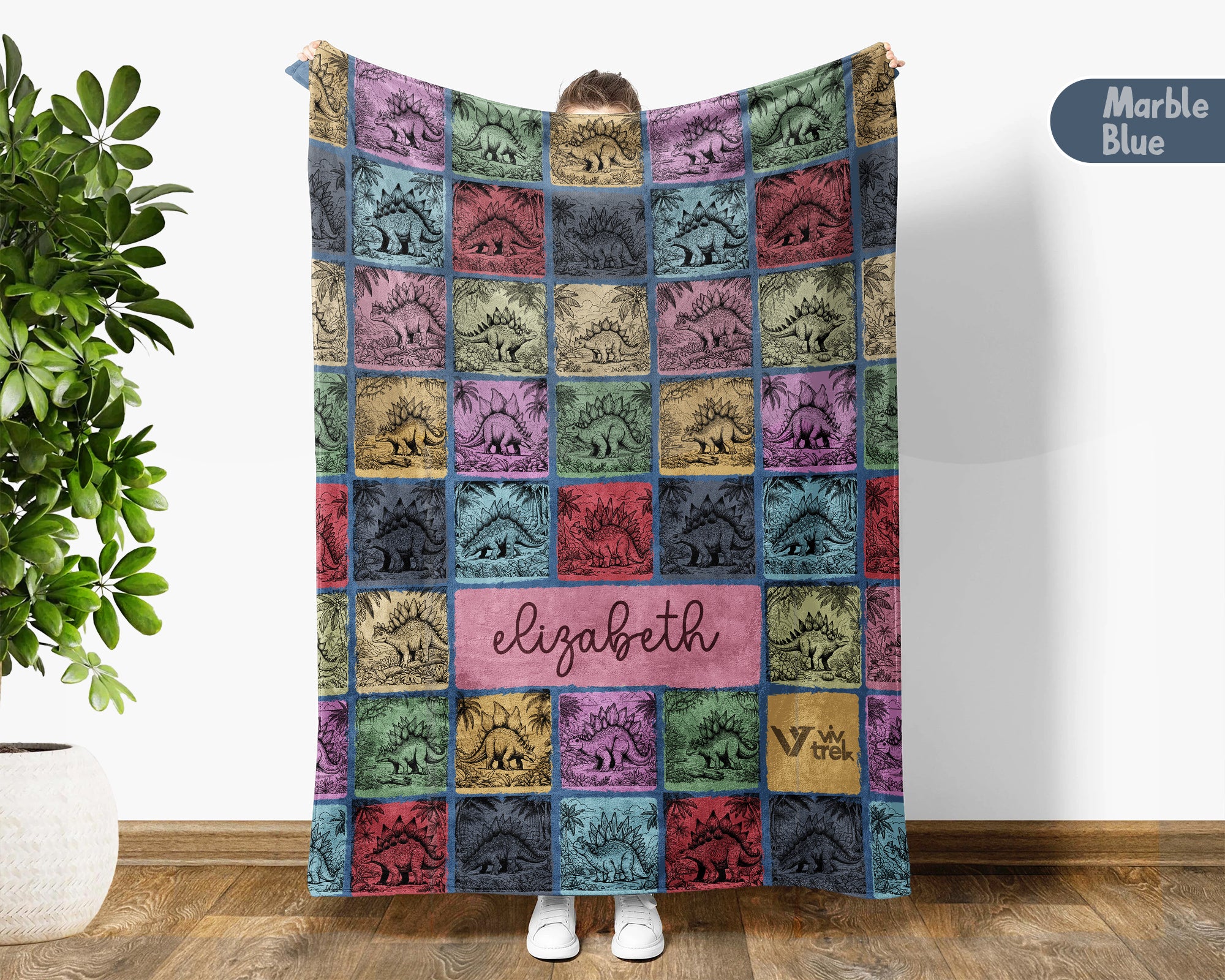 Custom Stegosaurus Blanket Personalized Name Retro Dino Throw Cozy Prehistoric Animal Decor Unique Paleontology Gift